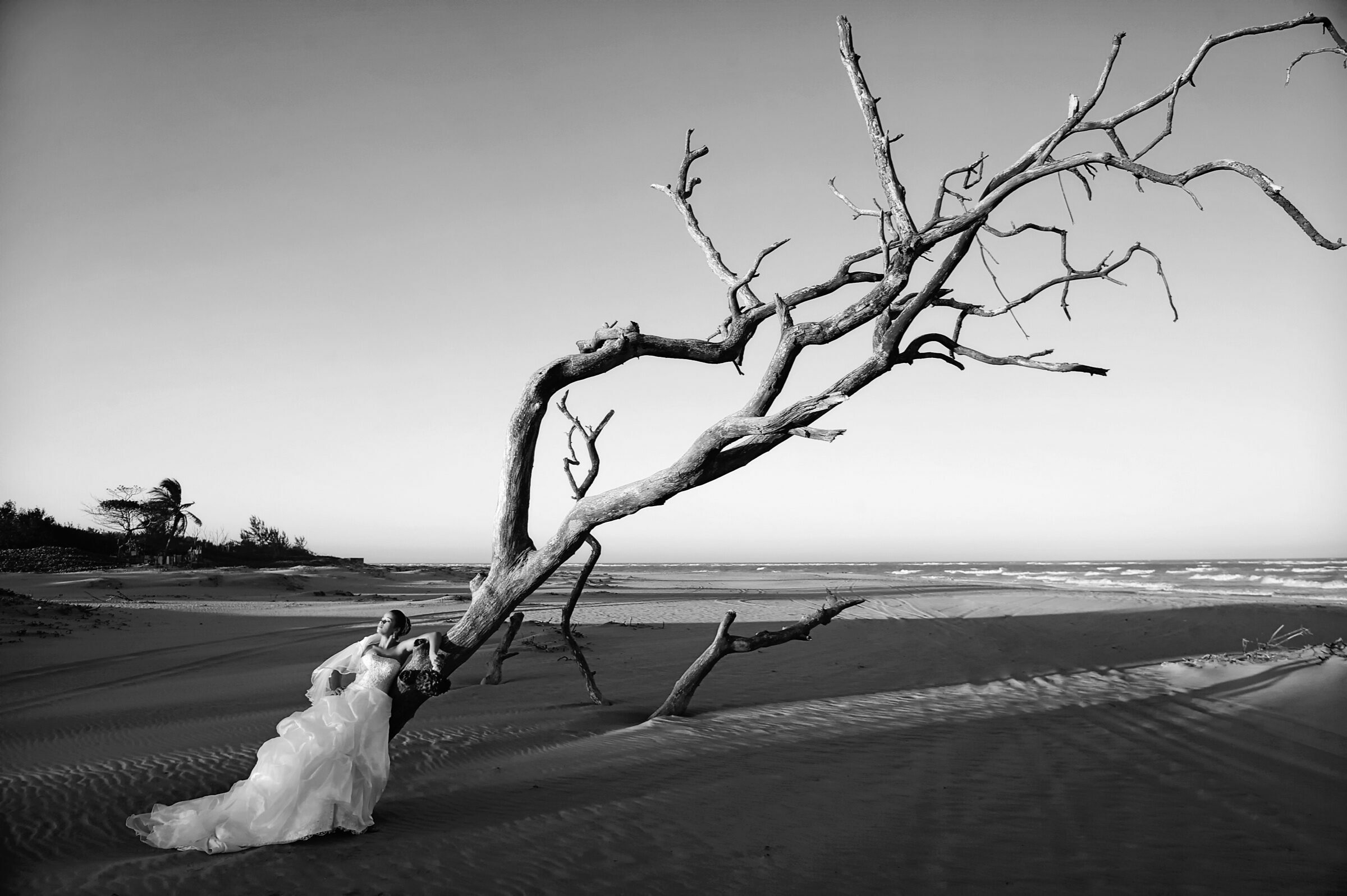 Foto de Marcio Sheeny 1